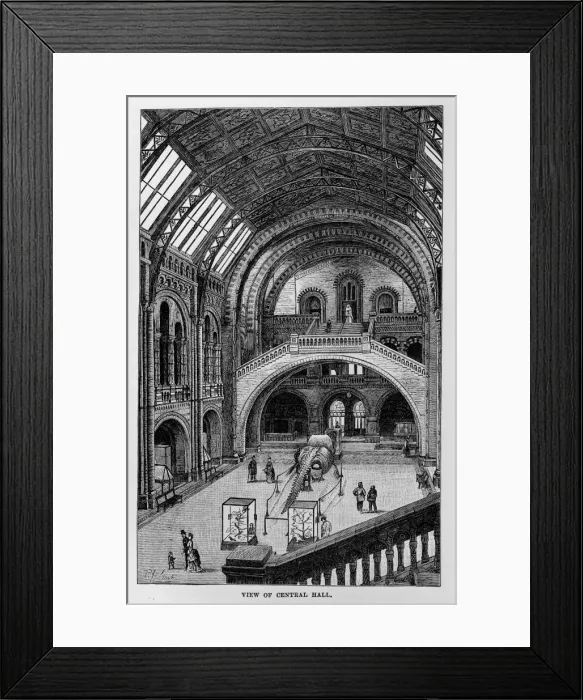 Framed Print : Central Hall of the Natural History Museum, London Framed Print : Central Hall of the Natural History Museum, London