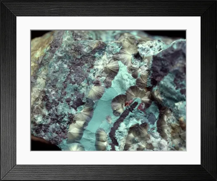 Framed Print : Olivenite comprises of (copper arsenate hydroxide) Framed Print : Olivenite comprises of (copper arsenate hydroxide)
