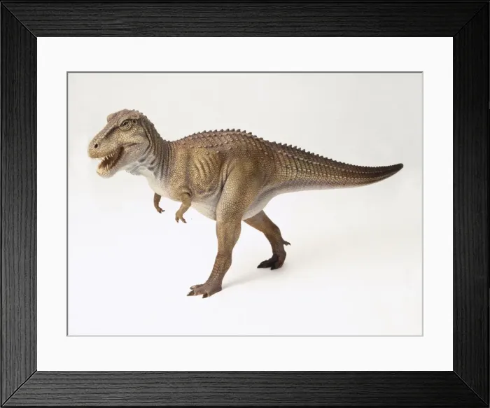 Framed Print : Tyrannosaurus rex Framed Print : Tyrannosaurus rex
