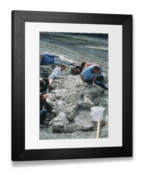 Framed Print : Baryonyx excavations Framed Print : Baryonyx excavations