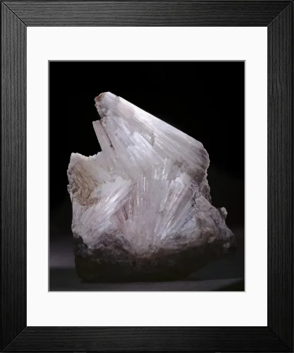 Framed Print : Thomsonite Framed Print : Thomsonite