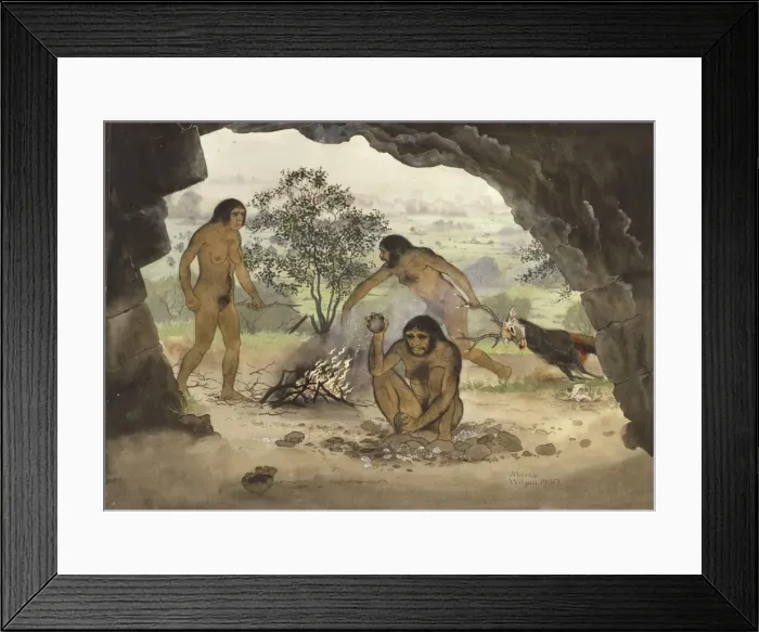 Framed Print : Homo erectus, Peking Man Framed Print : Homo erectus, Peking Man
