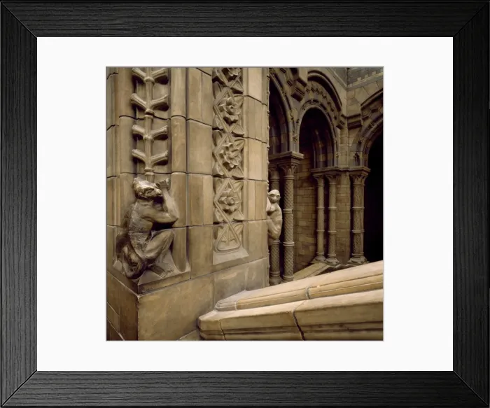 Framed Print : Interior detail from the Natural History Museum, London Framed Print : Interior detail from the Natural History Museum, London