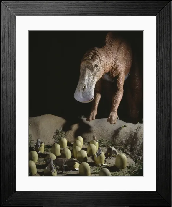 Framed Print : Maiasaura with nest of eggs and hatchlings Framed Print : Maiasaura with nest of eggs and hatchlings