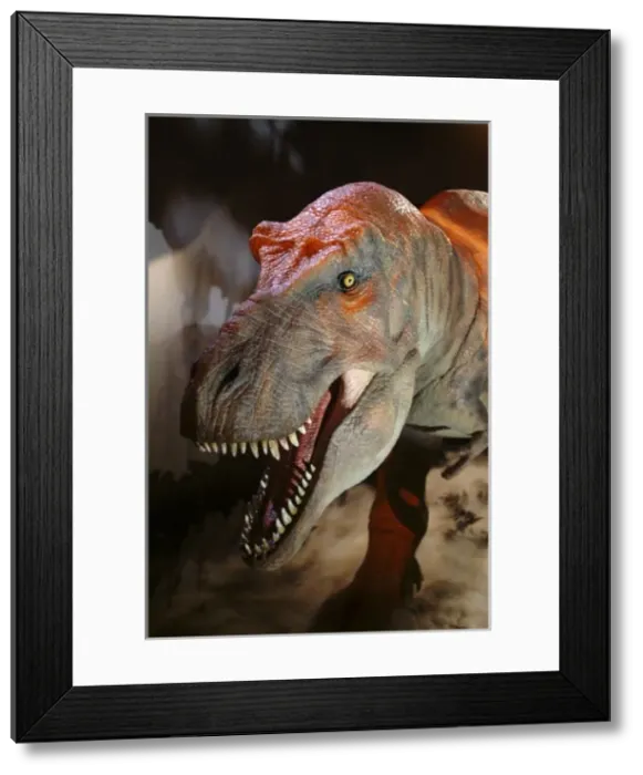 Framed Print : Tyrannosaurus rex Framed Print : Tyrannosaurus rex