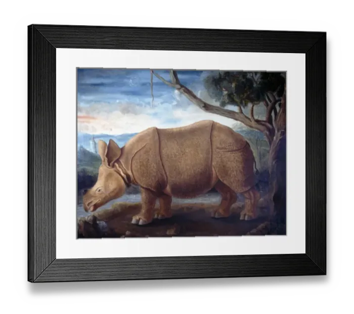 Framed Print : Rhinoceros sp. rhinoceros Framed Print : Rhinoceros sp. rhinoceros