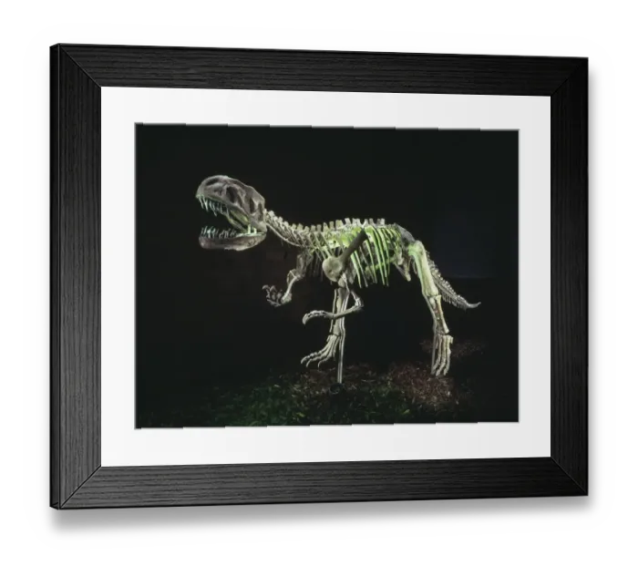 Framed Print : Gasosaurus Framed Print : Gasosaurus