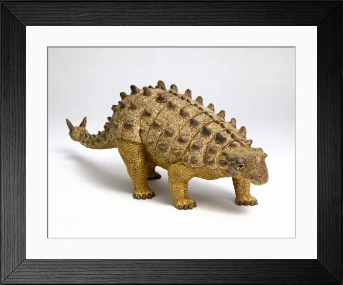 Framed Print : Euoplocephalus Framed Print : Euoplocephalus
