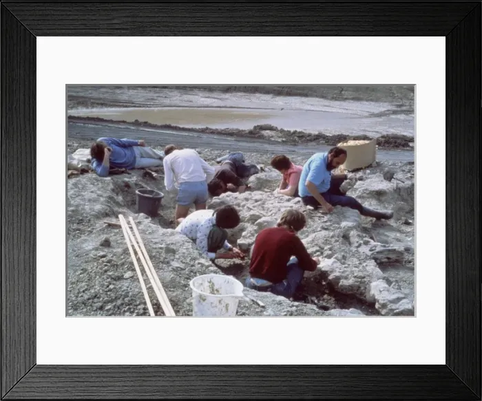 Framed Print : Baryonyx excavations Framed Print : Baryonyx excavations