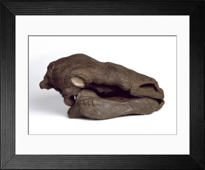 Framed Print : Edmontonia Framed Print : Edmontonia