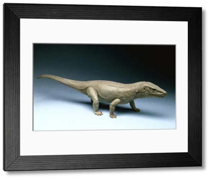 Framed Print : Euparkeria Framed Print : Euparkeria