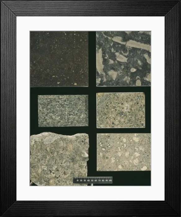 Framed Print : British marble specimens Framed Print : British marble specimens