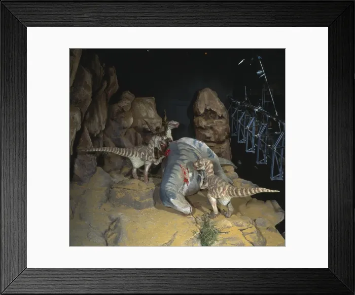 Framed Print : Deinonychus Framed Print : Deinonychus