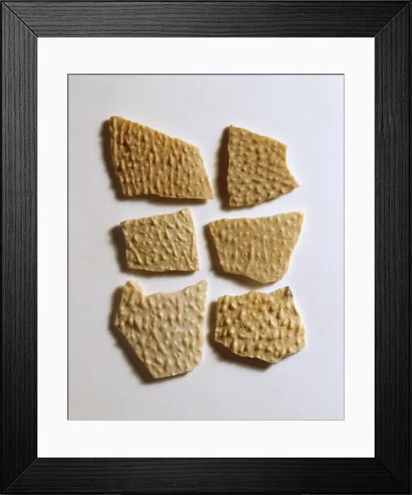 Framed Print : Protoceratops eggshell Framed Print : Protoceratops eggshell
