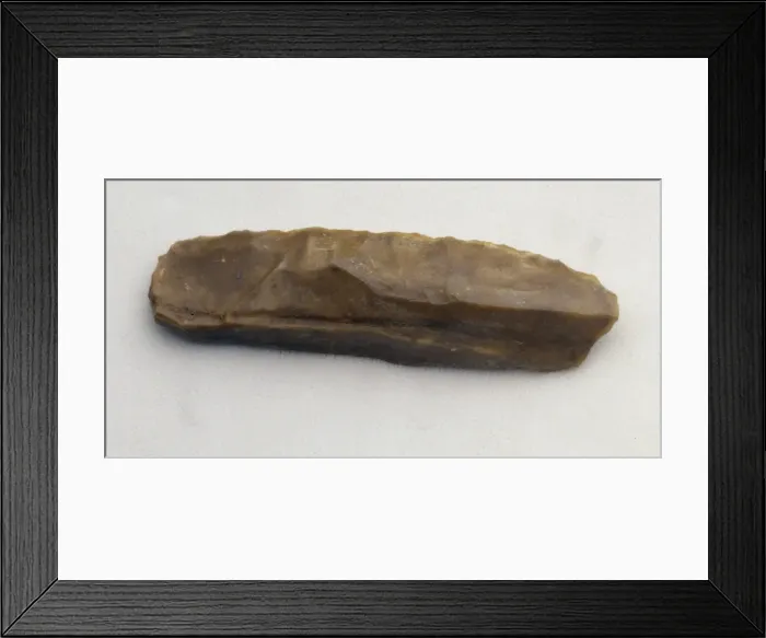 Framed Print : Homo neanderthalensis, Neanderthal mans flake tool Framed Print : Homo neanderthalensis, Neanderthal mans flake tool
