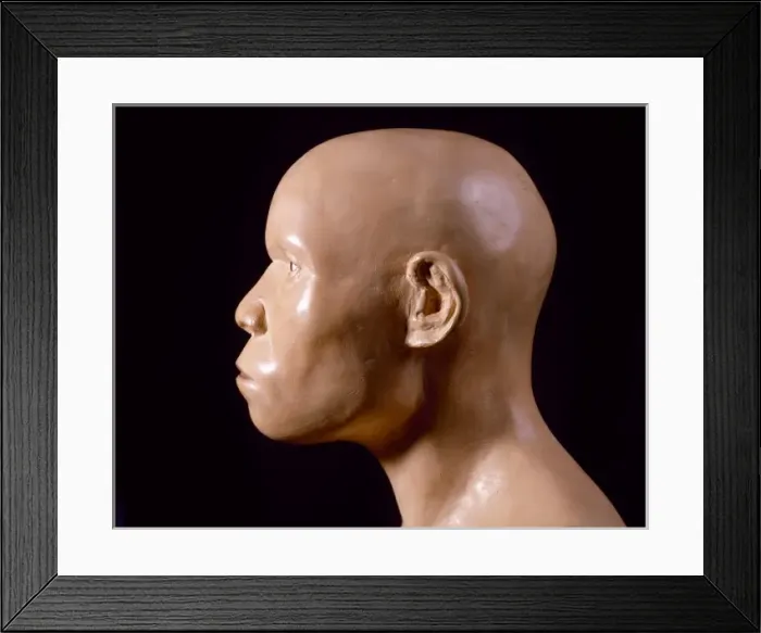 Framed Print : Piltdown Man (model based on Piltdown 1 & 2) Framed Print : Piltdown Man (model based on Piltdown 1 & 2)