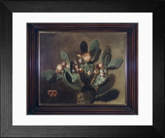 Framed Print : Opunita fiscus-indica, prickly pear Framed Print : Opunita fiscus-indica, prickly pear
