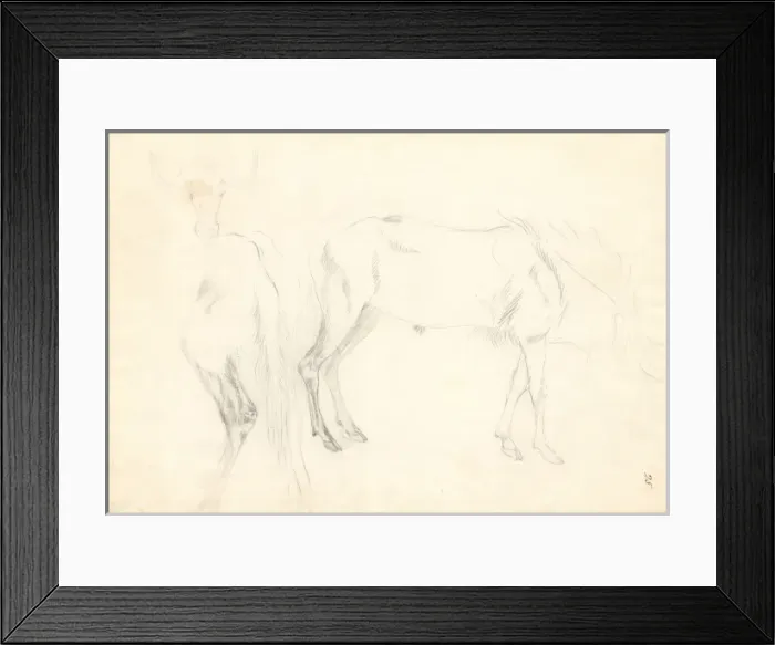 Framed Print : Antelope. Ff. 25. Drawing by George Forster (1754-1794) Framed Print : Antelope. Ff. 25. Drawing by George Forster (1754-1794)