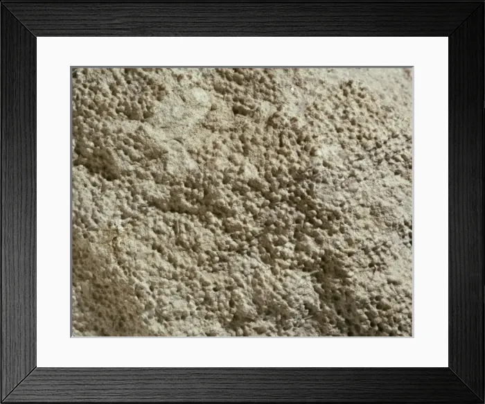 Framed Print : Oolitic limestone Framed Print : Oolitic limestone