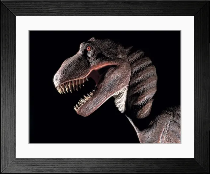 Framed Print : Tyrannosaurus rex Framed Print : Tyrannosaurus rex