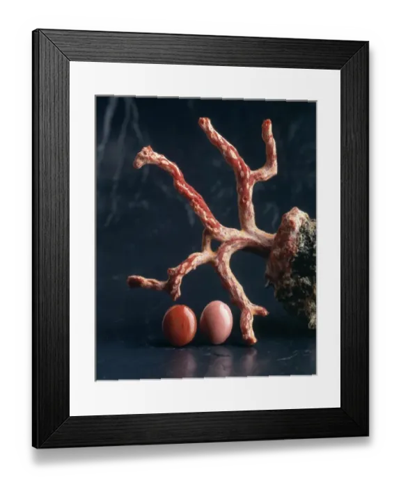 Framed Print : Corals. Specimens of rough and polished coral Framed Print : Corals. Specimens of rough and polished coral