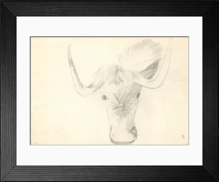 Framed Print : Antelope head Framed Print : Antelope head