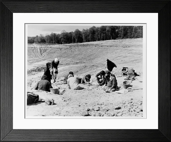 Framed Print : Baryonyx excavation, 1983 Framed Print : Baryonyx excavation, 1983