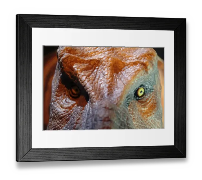 Framed Print : Tyrannosaurus rex Framed Print : Tyrannosaurus rex