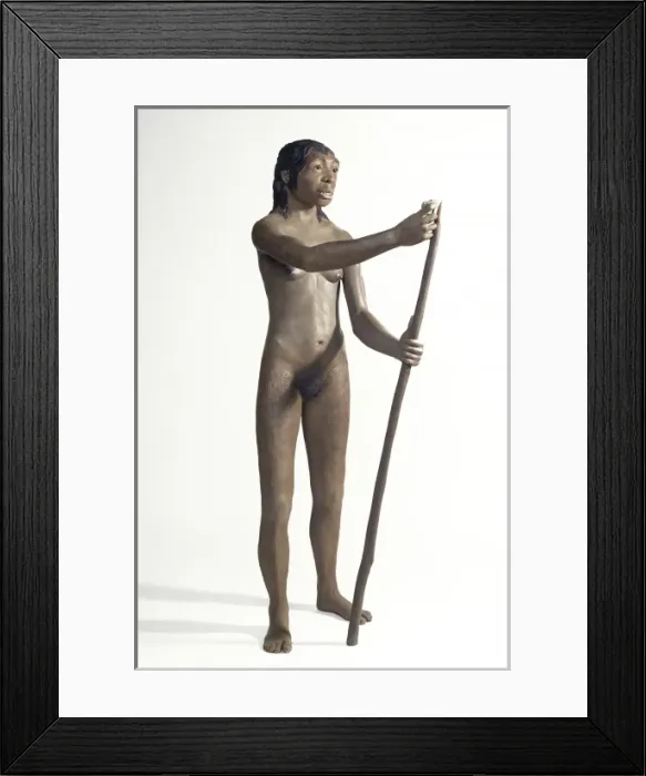 Framed Print : Homo neanderthalensis, Neanderthal Woman (Tabun C1) Framed Print : Homo neanderthalensis, Neanderthal Woman (Tabun C1)