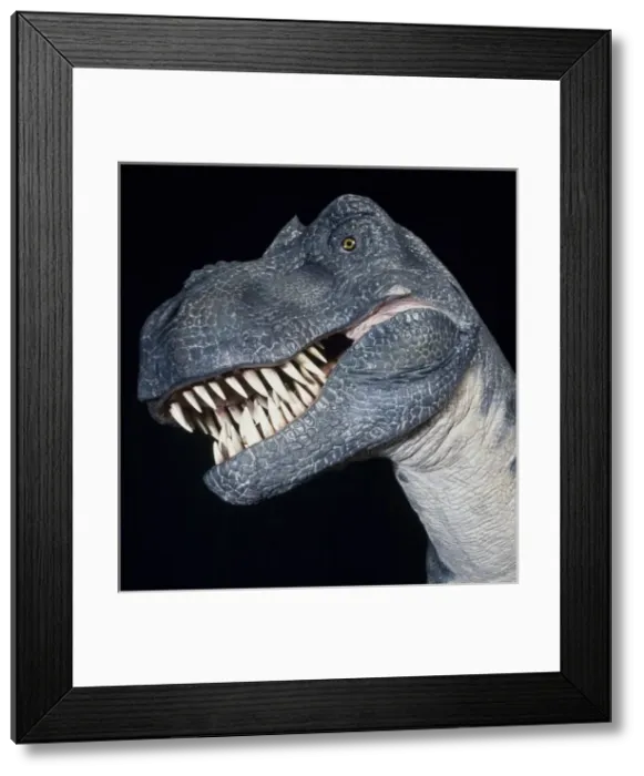 Framed Print : Tyrannosaurus rex Framed Print : Tyrannosaurus rex
