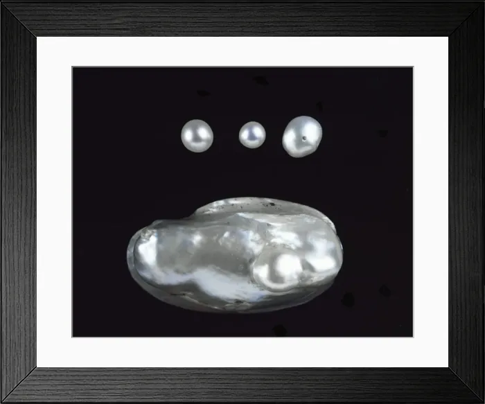 Framed Print : Freshwater pearls Framed Print : Freshwater pearls