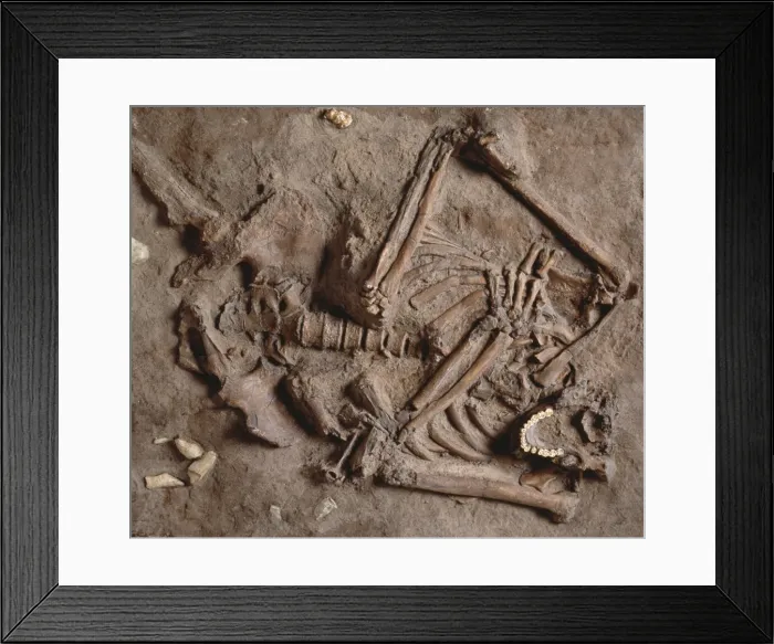 Framed Print : Homo neanderthalensis (Kebarah) burial site Framed Print : Homo neanderthalensis (Kebarah) burial site