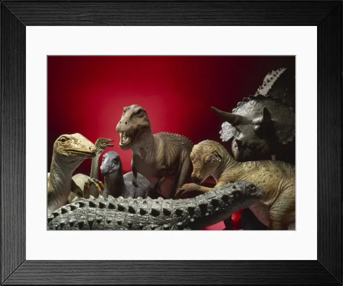 Framed Print : Dinosaurs. A collection of model dinosaurs Framed Print : Dinosaurs. A collection of model dinosaurs