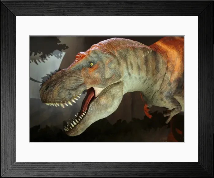 Framed Print : Tyrannosaurus rex Framed Print : Tyrannosaurus rex