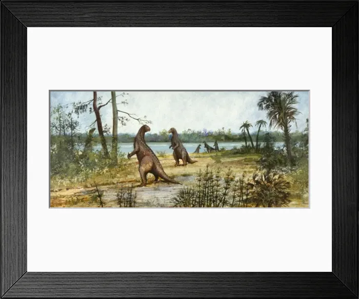 Framed Print : Iguanodon. A wealden reed swamp depicted during the Lower Cretaceous period Framed Print : Iguanodon. A wealden reed swamp depicted during the Lower Cretaceous period