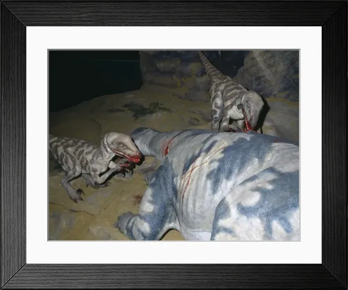 Framed Print : Deinonychus Framed Print : Deinonychus