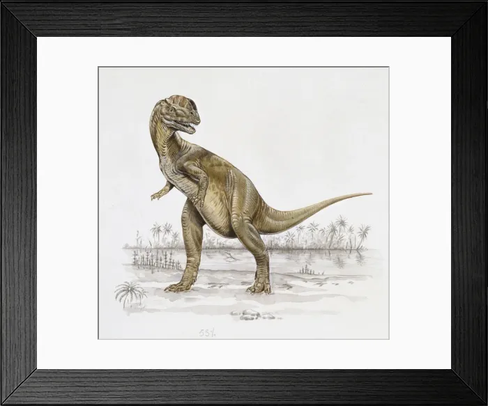 Framed Print : Dilophosaurus Framed Print : Dilophosaurus