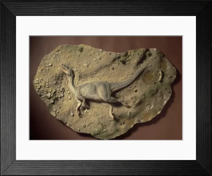 Framed Print : Baryonyx walkeri Framed Print : Baryonyx walkeri