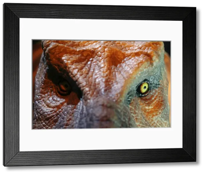 Framed Print : Tyrannosaurus rex Framed Print : Tyrannosaurus rex