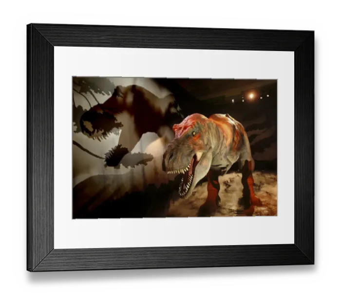 Framed Print : Tyrannosaurus rex Framed Print : Tyrannosaurus rex