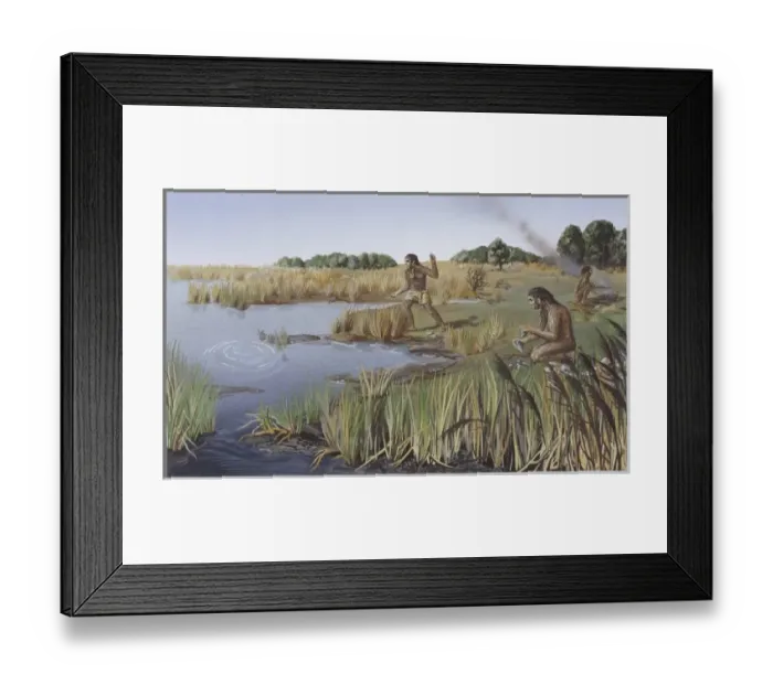 Framed Print : Homo erectus, Acheulian man Framed Print : Homo erectus, Acheulian man