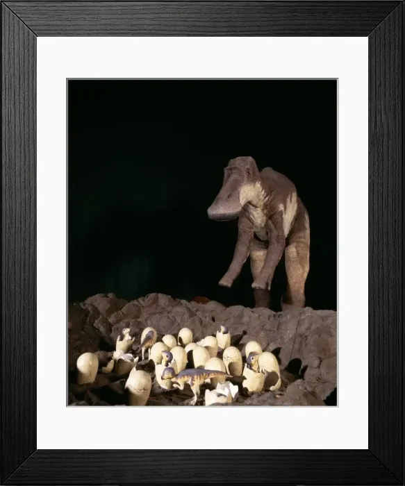 Framed Print : Maiasaura with nest of eggs and hatchlings Framed Print : Maiasaura with nest of eggs and hatchlings