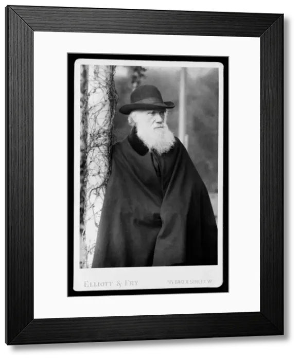 Framed Print : Charles Robert Darwin (1809-1882) Framed Print : Charles Robert Darwin (1809-1882)