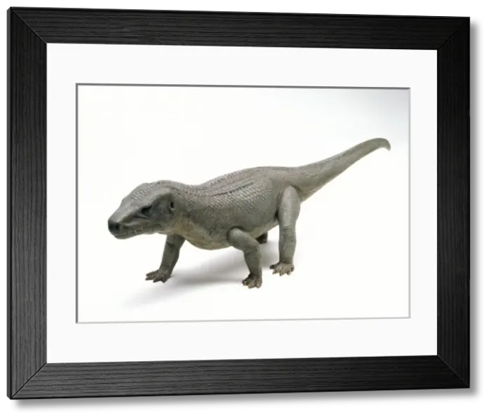 Framed Print : Euparkeria Framed Print : Euparkeria