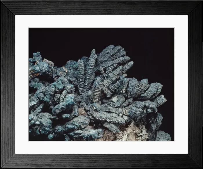 Framed Print : Bornite. A specimen of the mineral Bornite Framed Print : Bornite. A specimen of the mineral Bornite