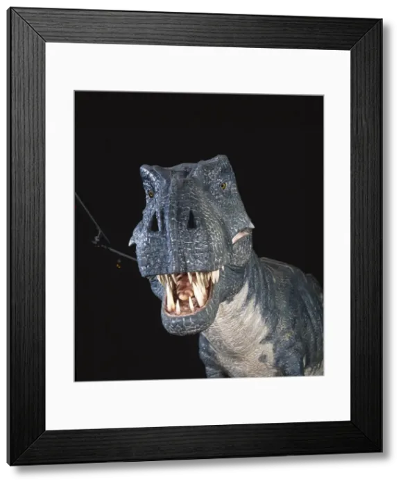Framed Print : Tyrannosaurus rex Framed Print : Tyrannosaurus rex