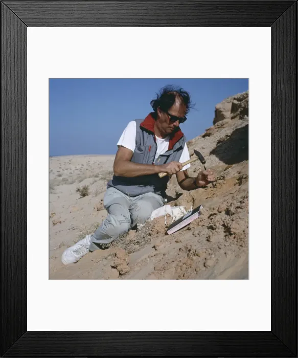 Framed Print : Palaeontologist at work Framed Print : Palaeontologist at work
