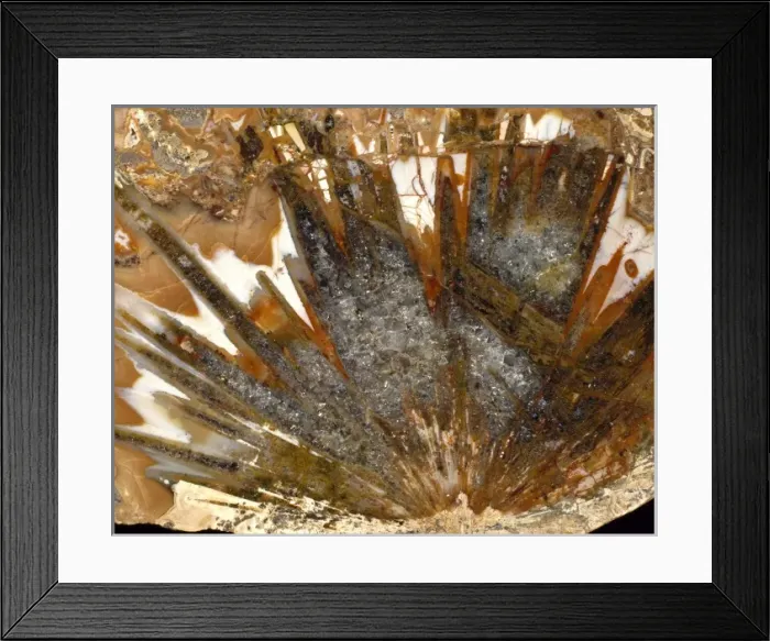Framed Print : Chalcedony Framed Print : Chalcedony