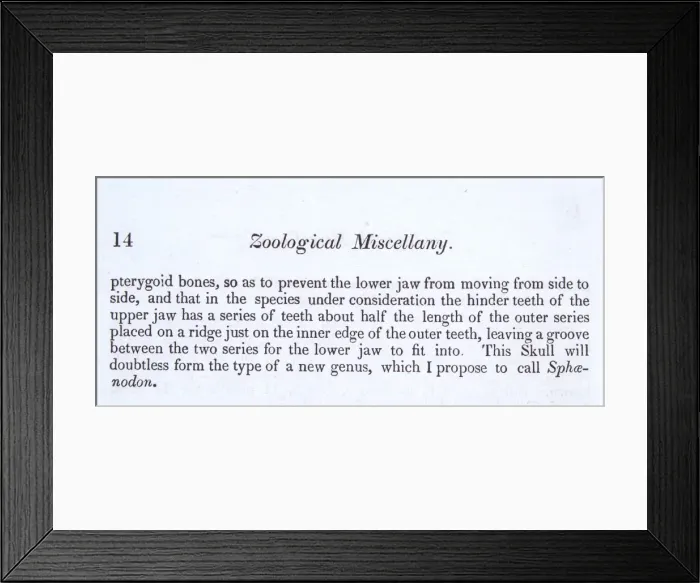Framed Print : Agama by John Edward Gray Framed Print : Agama by John Edward Gray