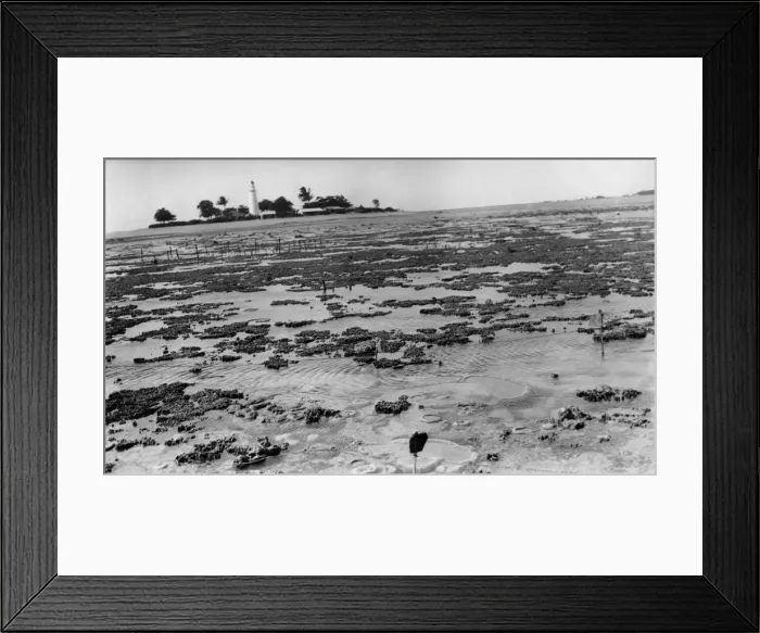 Framed Print : Photograph of reef flat with lighthouse in the background Framed Print : Photograph of reef flat with lighthouse in the background